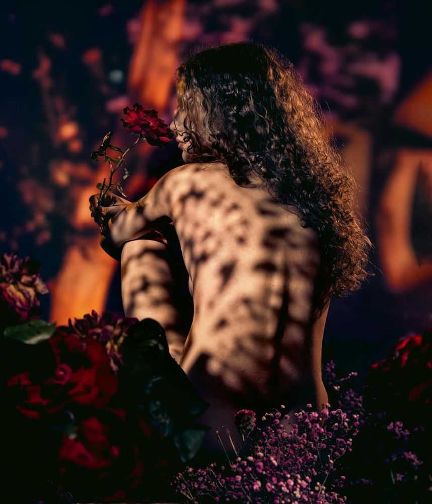 A nude woman with curly hair sits curled up among deep red and purple flowers, holding a red rose close to her face. Warm, dramatic light casts patterned shadows across her bare back and creates a mysterious, intimate atmosphere. The background is softly blurred, enhancing the focus on her and the vibrant flowers surrounding her.