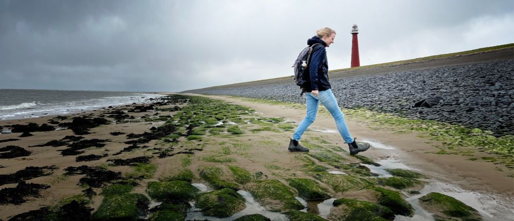 Het strand zit klem: hoe zee en stad onze kust verdringen