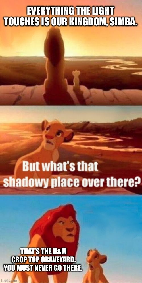 Three panel scene from The Lion King. The top panel features a father and son Lion looking upon a kingdom. The text reads “Everything the light touches is our kingdom, Simba”. The second panel reads “But what’s that shadowy place over there?” featuring a shadowy dark land visible in the distance. The final panel shows the father lion speaking to his Son. The text reads “That’s the H&M crop top graveyard you must never go there”.
