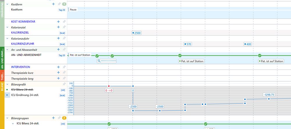 Ansicht der fertigen Bilanz in der digitalen Patientenkurve.