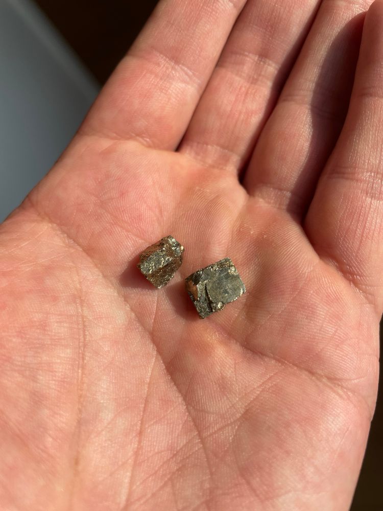 A hand holding two shiny gold-colored nuggets