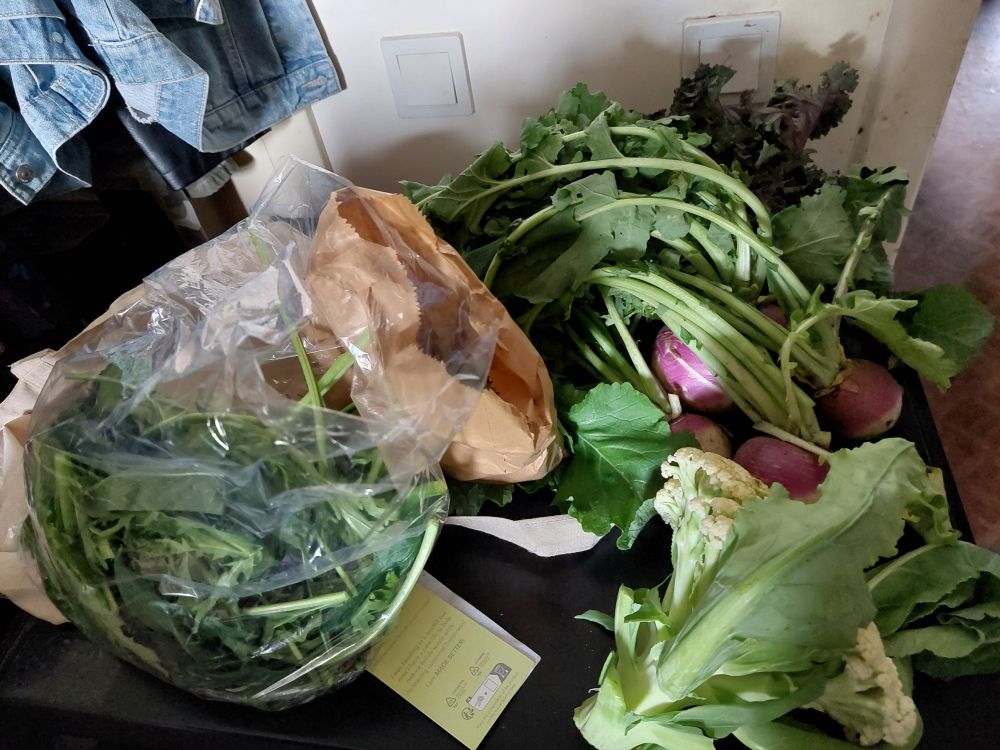 ● rocket 
● mangetout peas 
● turnips 
● kale 
● cauliflower
● mint