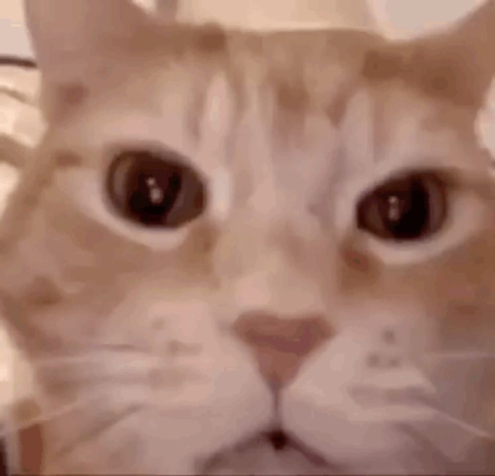 a close up of a cat 's face laying on a bed next to a lamp .