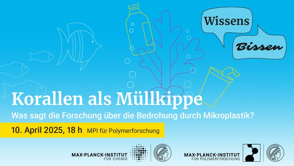 Korallen als Müllkippe: WAs sagt die Forschung über die Bedrohung durch Mikroplastik