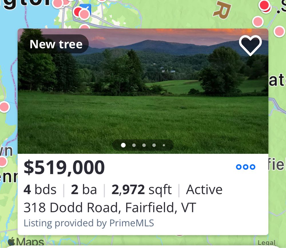 Vermont real estate listing that advertises “new tree” as the tag line