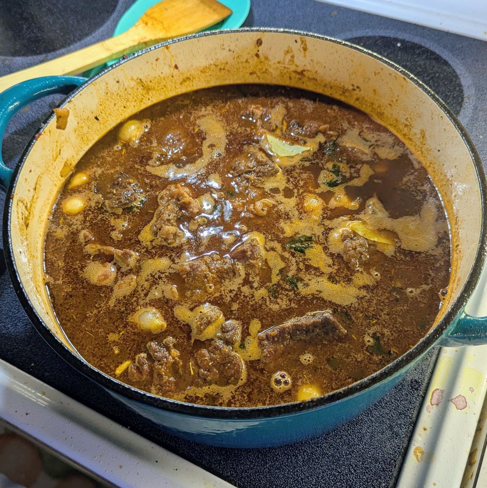 photo of stew in a pot on the stove
