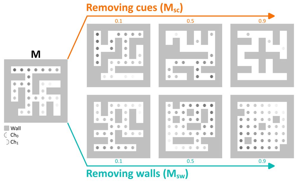A diagram showing 2D mazes with gradients of sensory cues. 