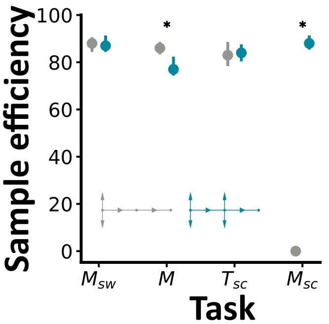 A diagram comparing the sample efficiency (learning speed) of two architectures (shown in grey and blue), across 4 maze tasks. 