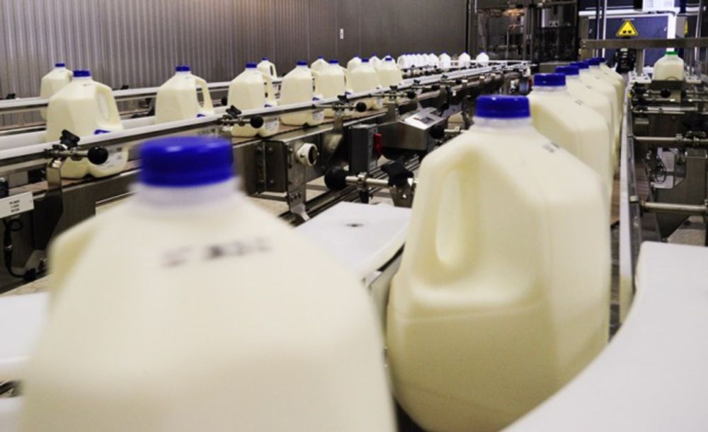 The Ultimate Guide to Milk Packing