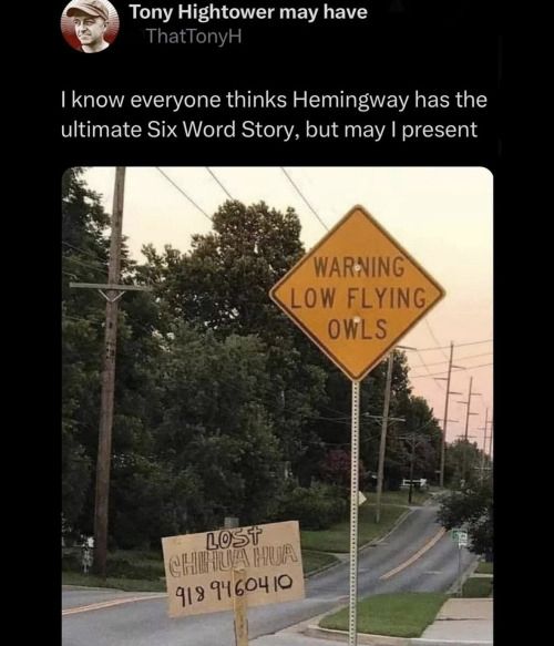 ThatTonyH posts a picture with the following caption:
I know everyone thinks Hemingway has the the ultimate Six Word Story but may I present:
(Photo of an orange road warning sign saying WARNING LOW FLYING OWLS immediately above a hand lettered sign LOST CHIHUAHUA with a 918 area code phone number)