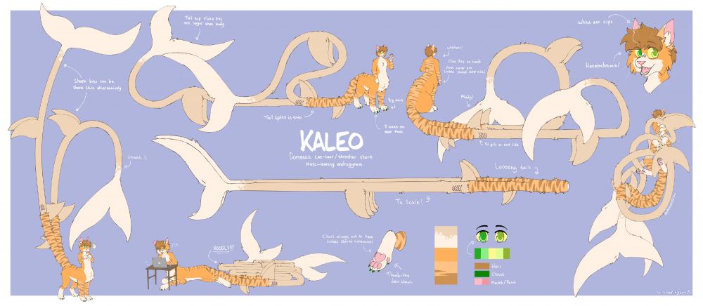 A drawn reference of my anthropomorphic centauroid (taur - creature with 4 legs and two torsos) domestic cat fursona with two very long shark tails