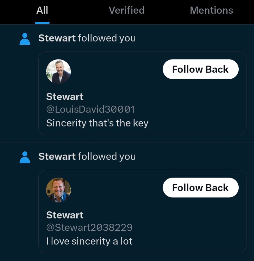 Two almost identical Twitter profiles with lots of numbers, bio saying that they love sincerity a lot.