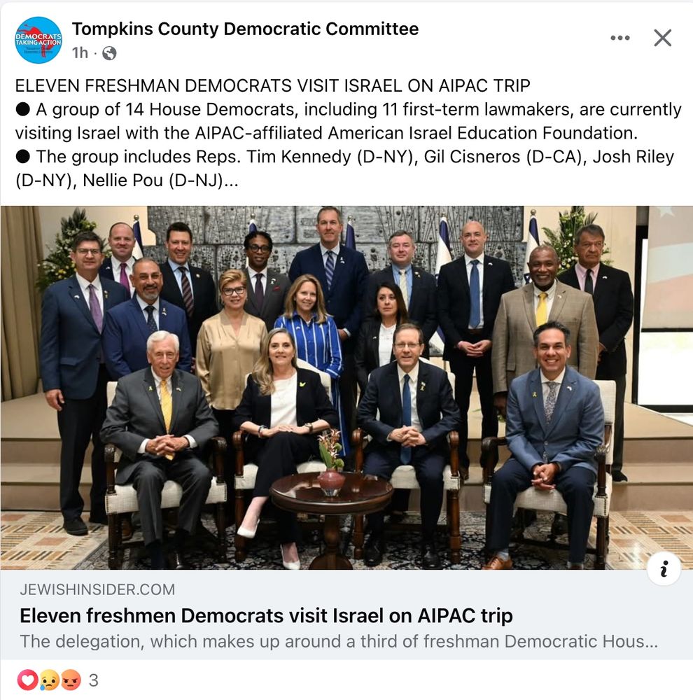 Someone at the Tompkins County Democratic Committee is really pissed at Congressman Josh Riley of Ithaca right now.