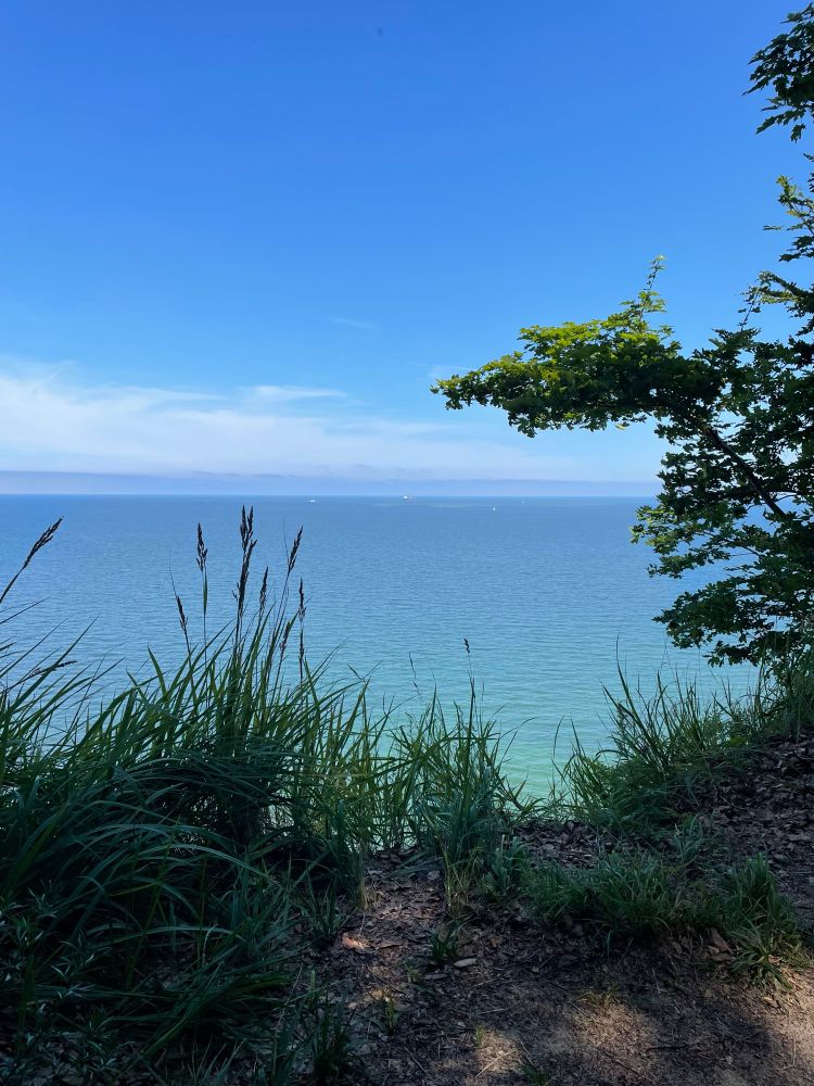 Blick zwischen Sträuchern hindurch aufs blaue Meer 