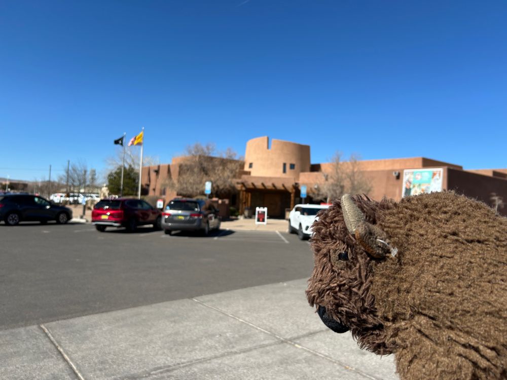 Rochester (a plush bison) in the parking lot in front of the Indian Pueblo Cultural Center. 