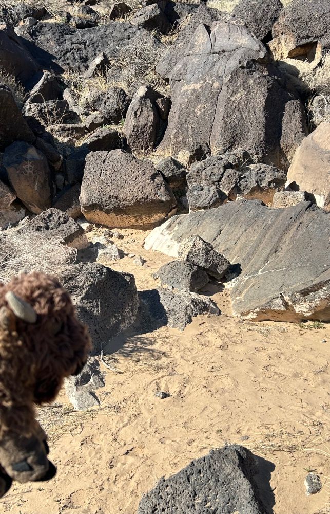 Rochester in front of a cliffside of boulders, some of which have inscriptions on them of geometric shapes and figures of animals. 
