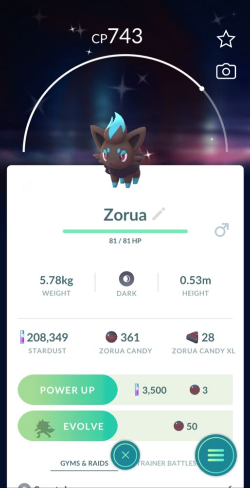 Shiny zorua in pokemon go. It has blue areas instead of red.