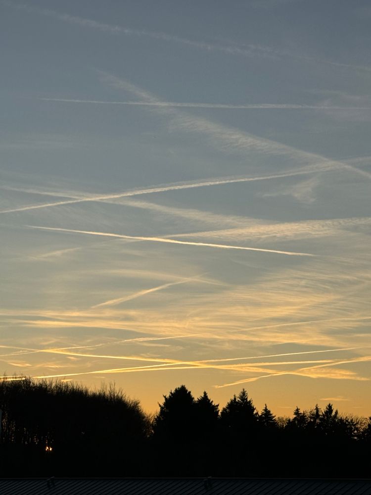 einige Schleierwolken und weiße Linien durch Jet-Abgase - unten dunkler Wald 