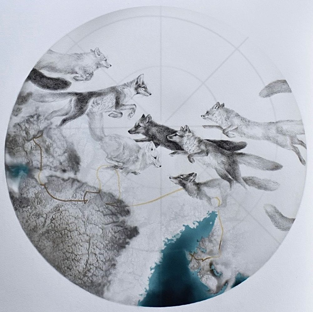 Round piece of art. A map of the arctic region is overlapped with lines of travel and many arctic foxes running in different directions. 