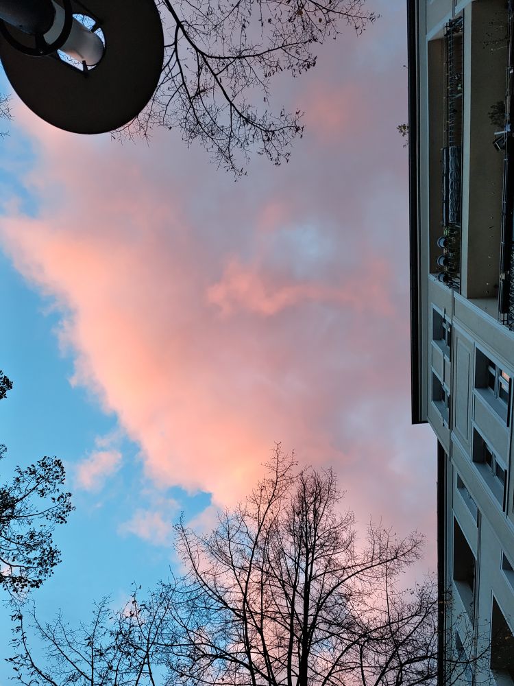 Ein Kopf-über-Foto von einer rosa Wolke, blauem Himmel und ein paar laublosen Baumkronen. Am rechten Rand sind die OG eines gründerzeitlichen Hauses zu sehen. Links in der eine Straßenlaterne von unten. 
