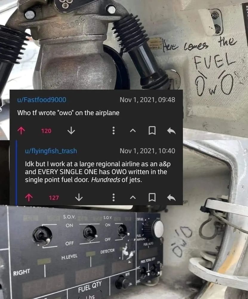 Comment image