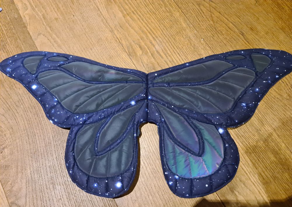 Wings in daylight, showing the cotton night-sky background 