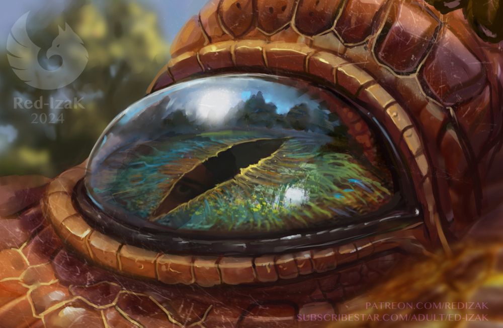 Dragon eye close-up