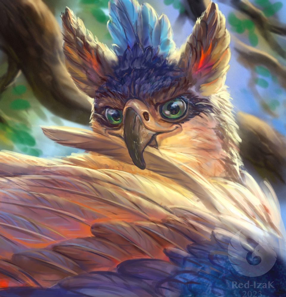 Ornate eagle gryphon preening