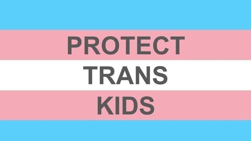 a trans flag with the text "protect trans kids" overtop in dark grey lettering