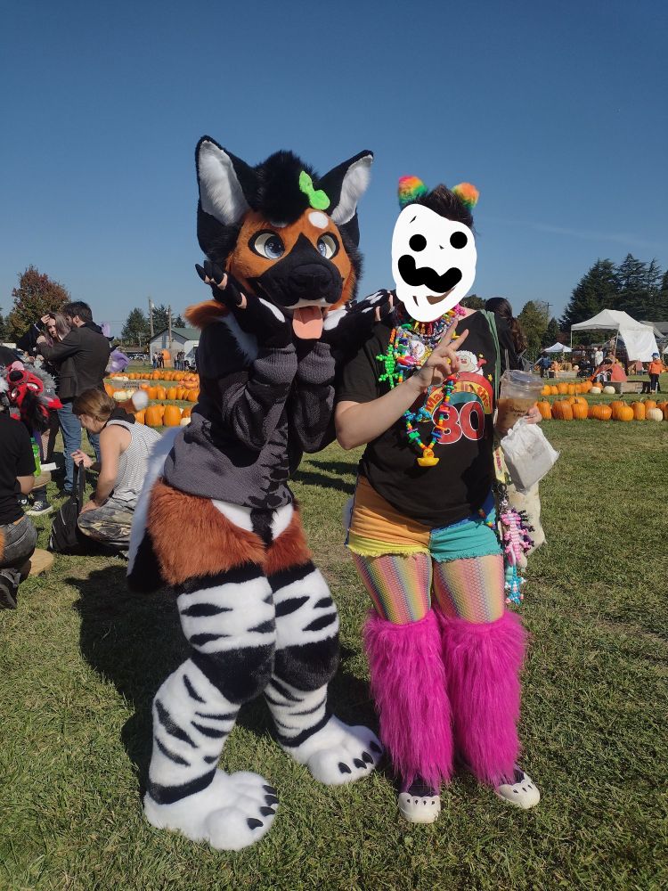 the same hyena fursuiter with owlhops , but from a distance to show the whole digigrade suit!