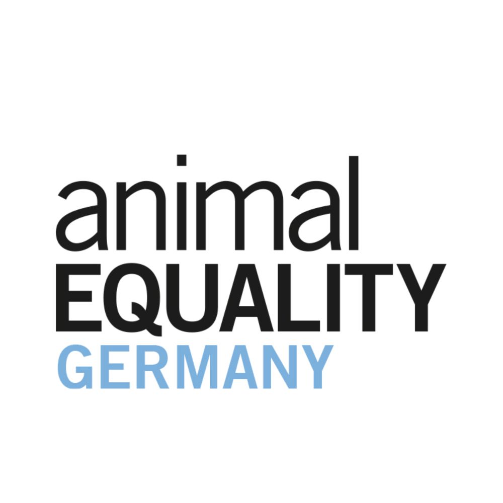 Unterstütze unsere Arbeit | Animal Equality Germany