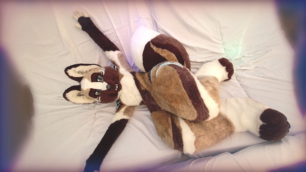 Nuke the fox fursuit looking up at the camera while laying on a comfy sheet.