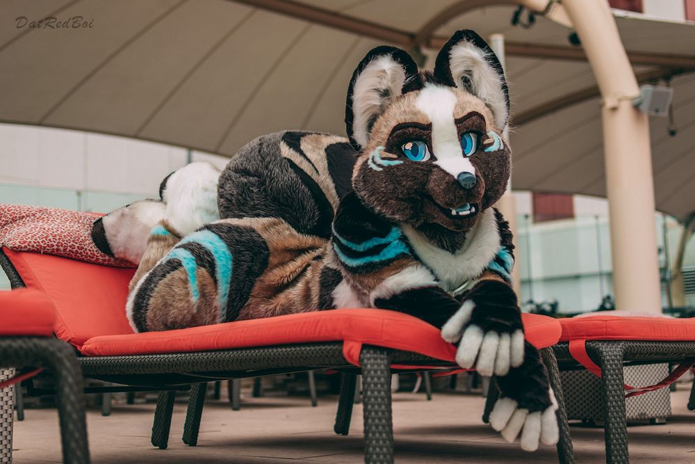 Nuke the fox fursuit laying on a pool lounge chair.