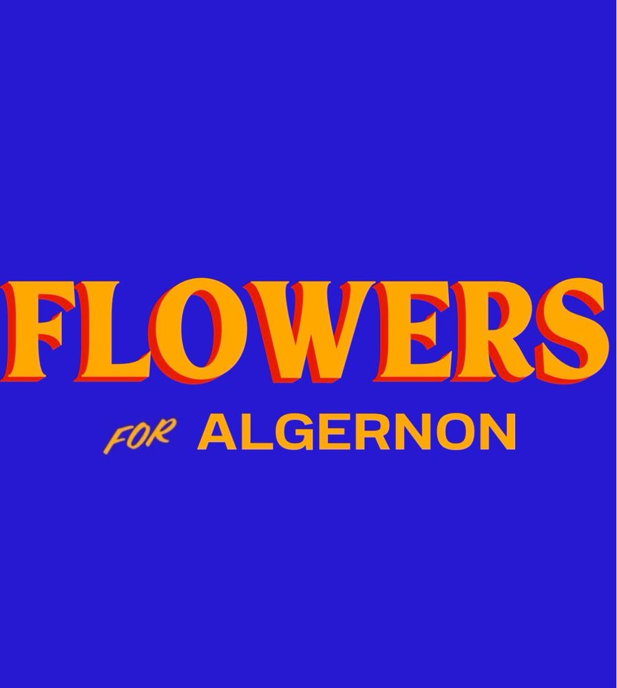 "Flowers for Algernon" in Mamdani for NYC font