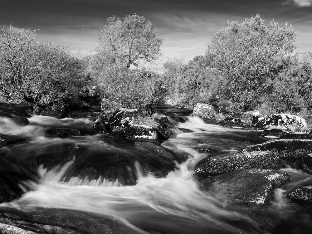 a river tumbles over large boulders. trees and a clear sky. black and white photo. 
