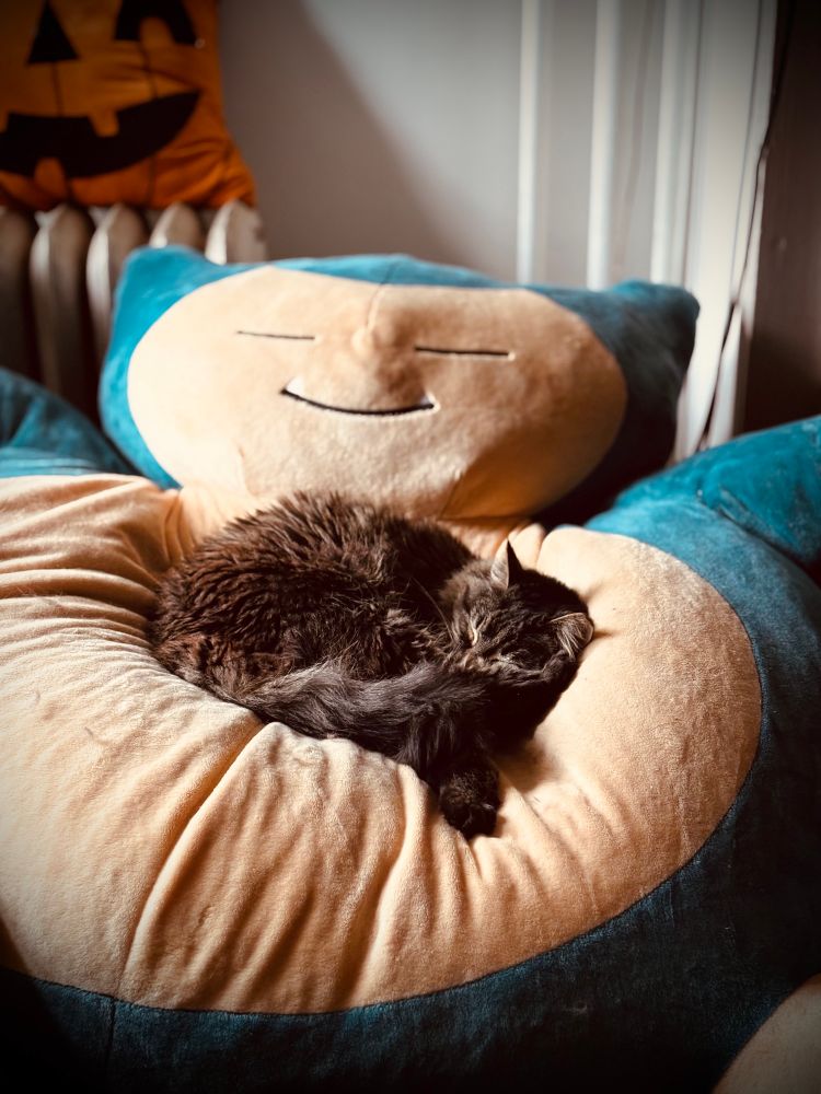 photo of a medium-haired brown tabby cat curled up asleep on a Snorlax bean bag chair