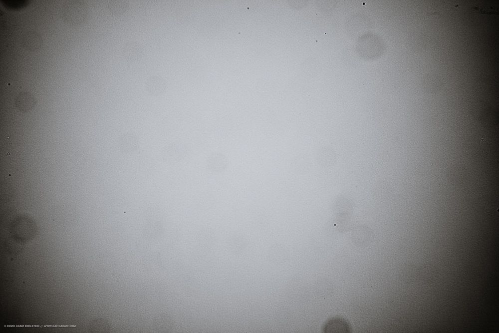 Image of a camera sensor so covered with schmutz that it looks like bacteria on a microscope slide. 