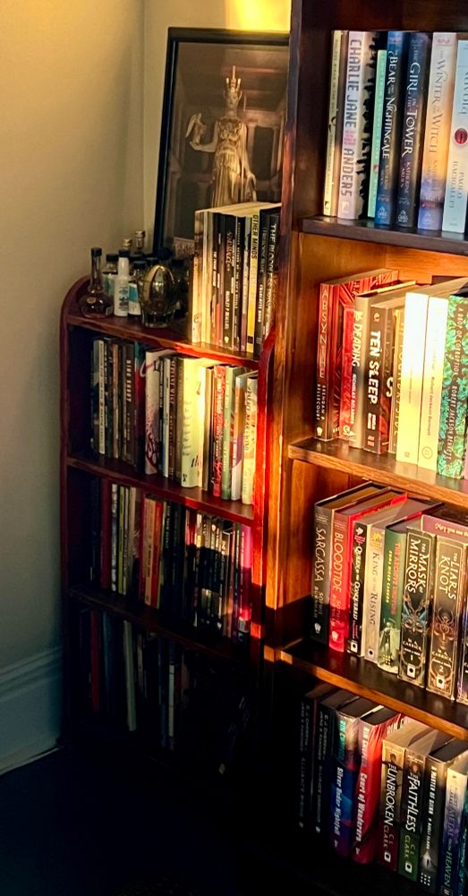 Bookcase blessed my golden sunset light