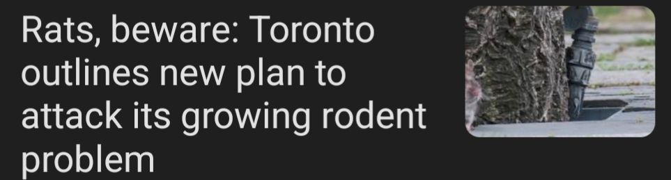 a news headline that reads "Rats beware: toronto outlines new plan to attack its growing rodent problem"