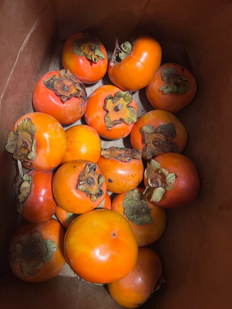 Seventeen persimmon fruits inside a brown paper bag