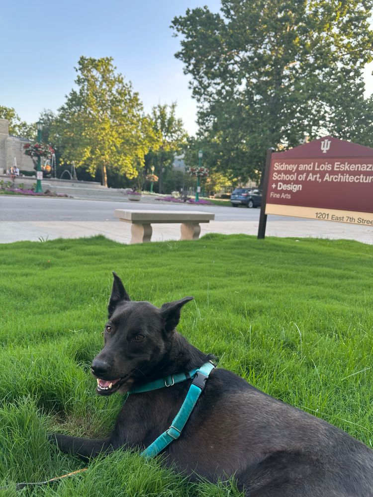 A black dog laying in grass, panting while looking at the camera. A fountain is in the background. In the mid-ground is a sign that reads:
Sidney and Lois Eskenaz School of Art, Architecture + Design
Fine Arts
1201 East 7th Stree