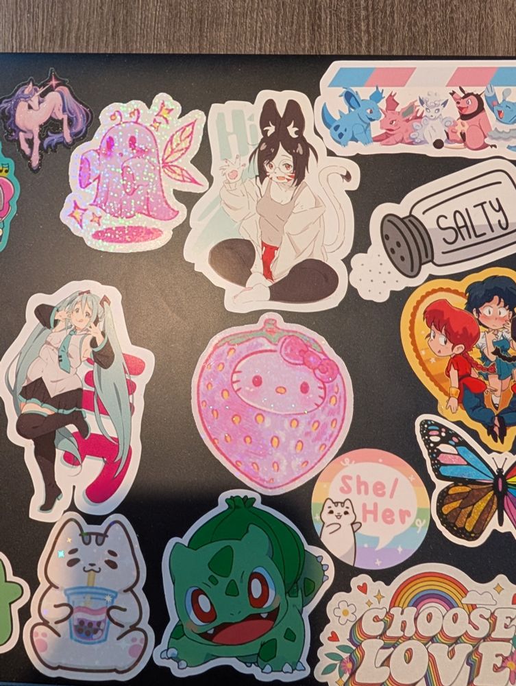 Part of the back of my laptop, covered in stickers. There's a big ol Niya on there, and if memory serves she drew one or two others in the shot as well