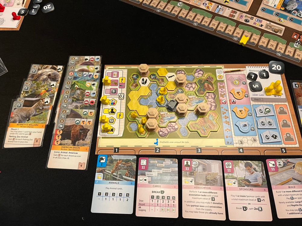 Ark Nova - Yellow Player’s zoo map zoomed out with several animal cards and filled enclosures. 