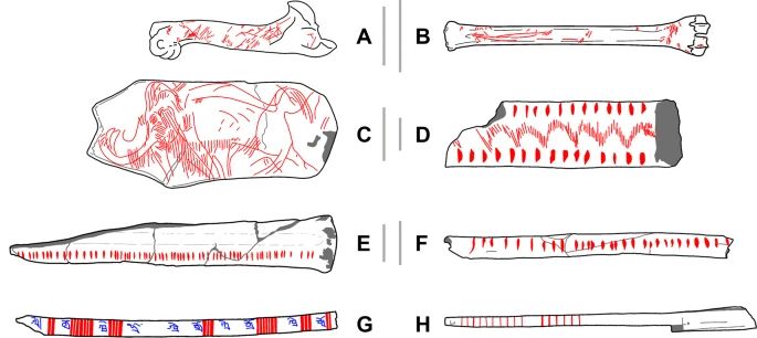 Examples of the different types of materials and engravings included in the present study