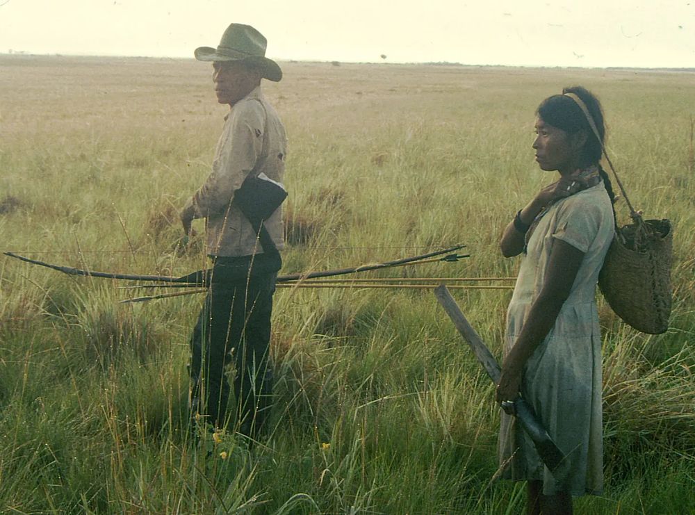 

A Pumé man and woman hunt and gather foods on the Venezuelan savanna.

Russell D. Greaves
