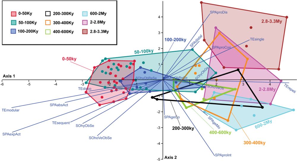 Discriminant analysis of cultural traits by transmission modes.