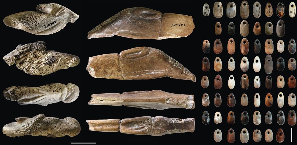 Selected bone zoomorphic figurations and oval bone pendants from the Early Natufian of Kebara Cave (scale 2 cm) (photos L.D.).