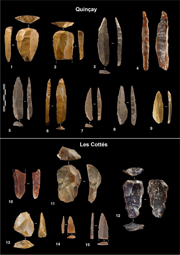 Retouched tools from the Châtelperronian of Les Cottés (US6) and Quinçay (En). (1, 2, 11, 12) Wide-fronted end-scrapers produced on ‘laminar rejuvenation flakes’ and wide blades. (3–9, 14, 15) Châtelperronian backed points. (10) Neo-crested blade. (13) Convergent side-scraper. Note the variation in size of the pieces
41982_2024_202_Fig13_HTML.webp
Retouched tools from the Uluzzian layer rsa’’ of Castelcivita. (1) Endscraper on flake. (2) Sidescraper with an adjustment of the distal end. (3) Sidescrapers realised on the ventral side of a big flake. (4) Pointed tool realised by adjusting the distal end of an already pointed fragment