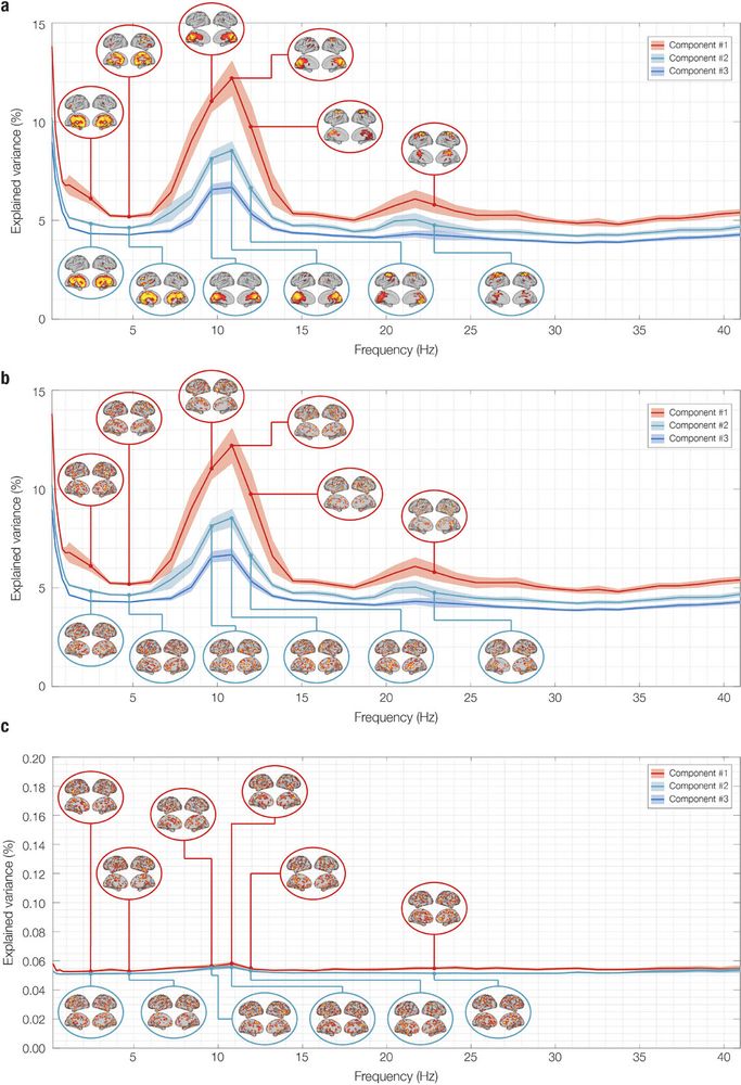 Network landscape of randomized resting state (RS) data: eigenspectrum and spatial activation patterns. This figure illustrates the frequency-resolved brain networks obtained using FREQ-NESS applied to the original data, randomized with two different strategies. 