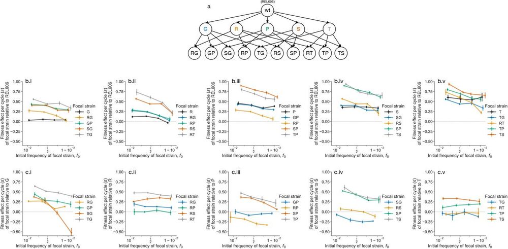 Ubiquitous frequency-dependent fitness effects.